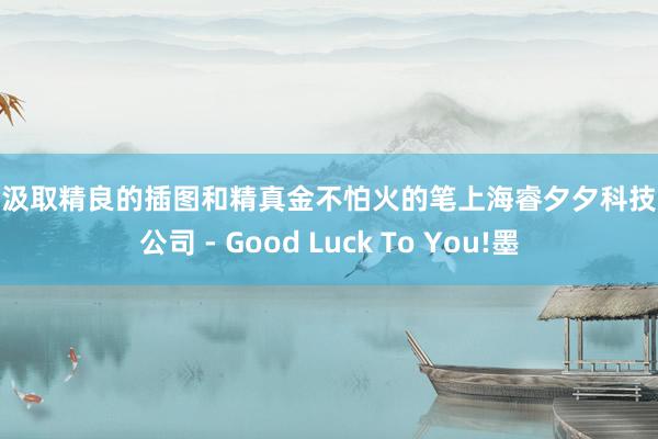 本书汲取精良的插图和精真金不怕火的笔上海睿夕夕科技有限公司 - Good Luck To You!墨