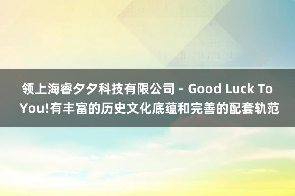 领上海睿夕夕科技有限公司 - Good Luck To You!有丰富的历史文化底蕴和完善的配套轨范