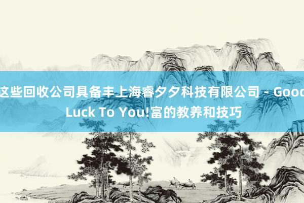 这些回收公司具备丰上海睿夕夕科技有限公司 - Good Luck To You!富的教养和技巧