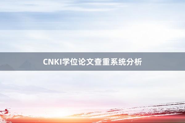 CNKI学位论文查重系统分析