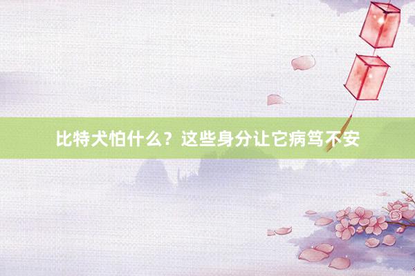 比特犬怕什么？这些身分让它病笃不安