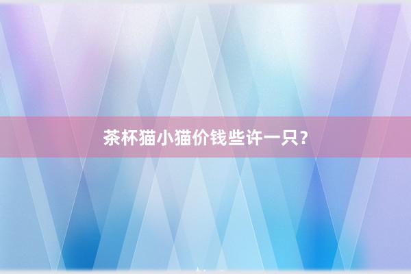 茶杯猫小猫价钱些许一只?